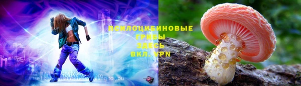 mdpv Козловка