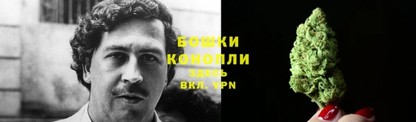 mdpv Козловка